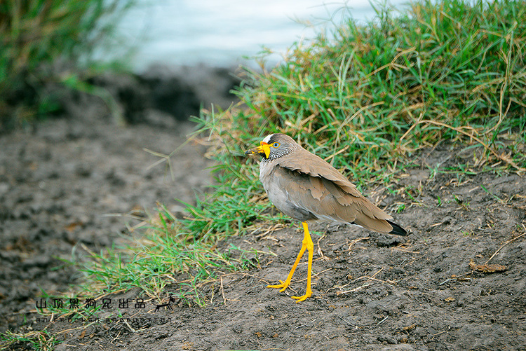 馬賽馬拉：它不是一個(gè)國(guó)家公園