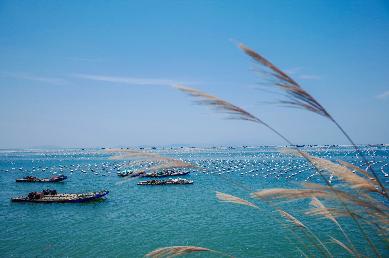 【潮汕南澳島美食動(dòng)車(chē)三天】<韓文公祠→宋代潮州古城 潮州古城燈光秀 非遺英歌舞 南澳大橋 北回歸線(xiàn)>