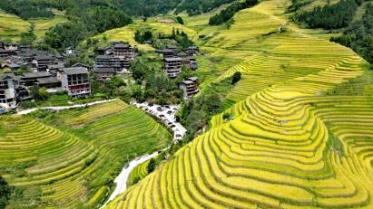 【航拍龍脊·星耀梯田】<桂林陽(yáng)朔4天3晚高鐵團(tuán)>