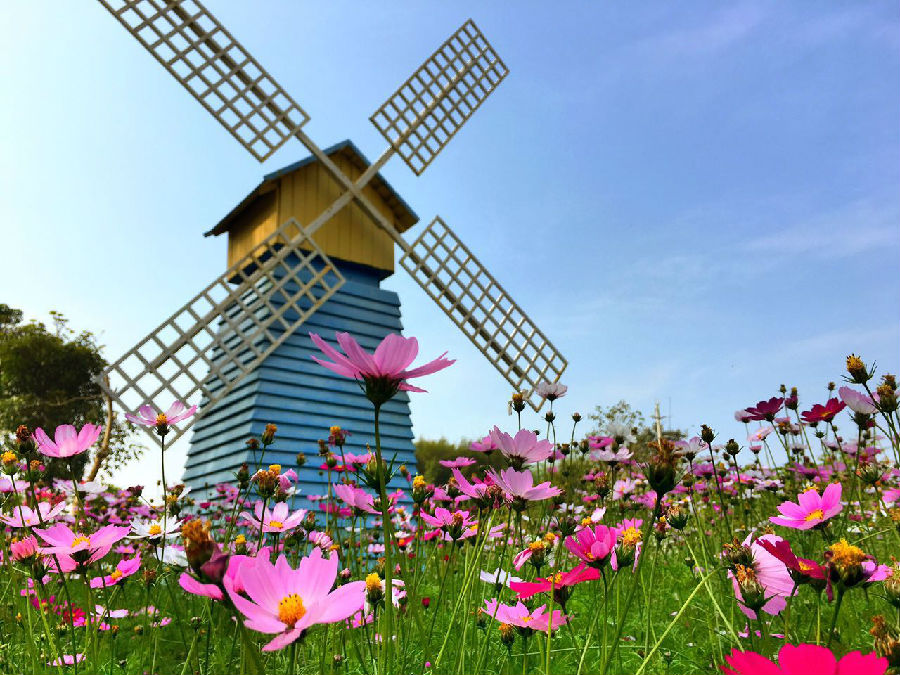 從化寶趣風(fēng)車封面圖