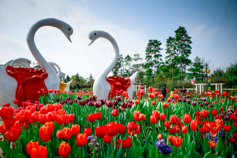 從化寶趣風(fēng)車封面圖