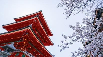 暑期【和風經(jīng)典】<本州三古都の東京富士山大阪京都奈良鐮倉6天>深圳航空深圳往返直飛