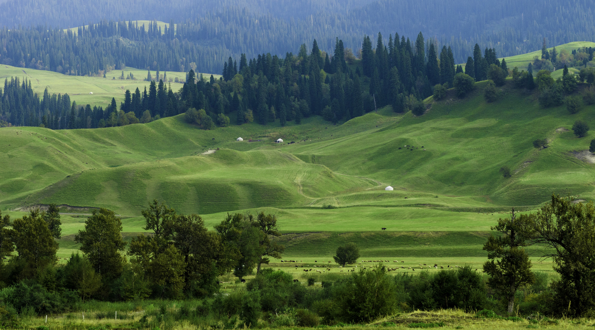 景點(diǎn)封面圖