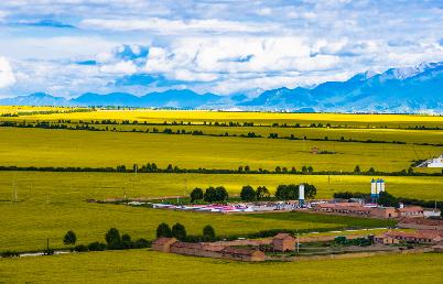 景點(diǎn)：門源