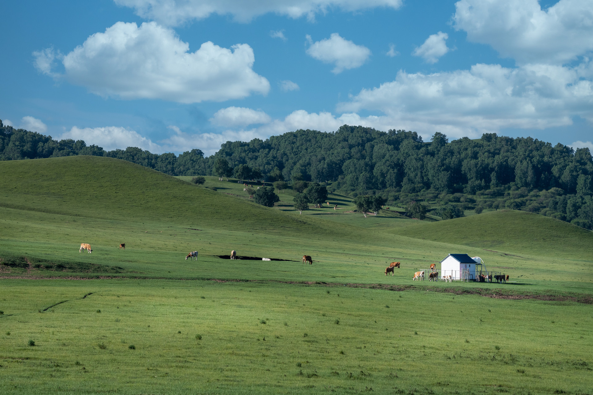 烏蘭布統(tǒng)風(fēng)光封面圖