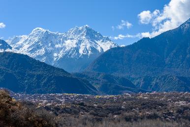 【邂逅希爾頓雙飛7日游】拉薩、天邊牧場、布久拉康、雅魯藏布大峽谷、圣湖羊卓雍措、布達拉宮、大昭寺廣場