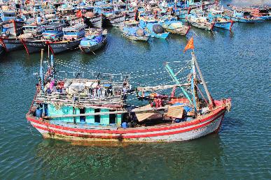 景點：峴港碼頭