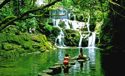 景點：鼎湖山風(fēng)光