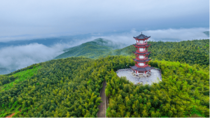 景點(diǎn)：蔡倫竹海