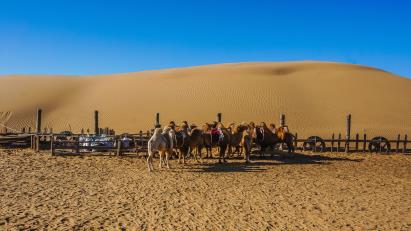 景點(diǎn)：達(dá)拉特旗響沙灣