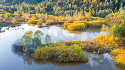 景點(diǎn)：伊春秋色