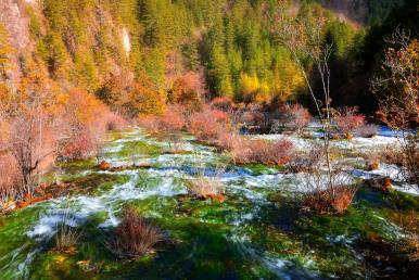 景點(diǎn)：九寨溝珍珠灘