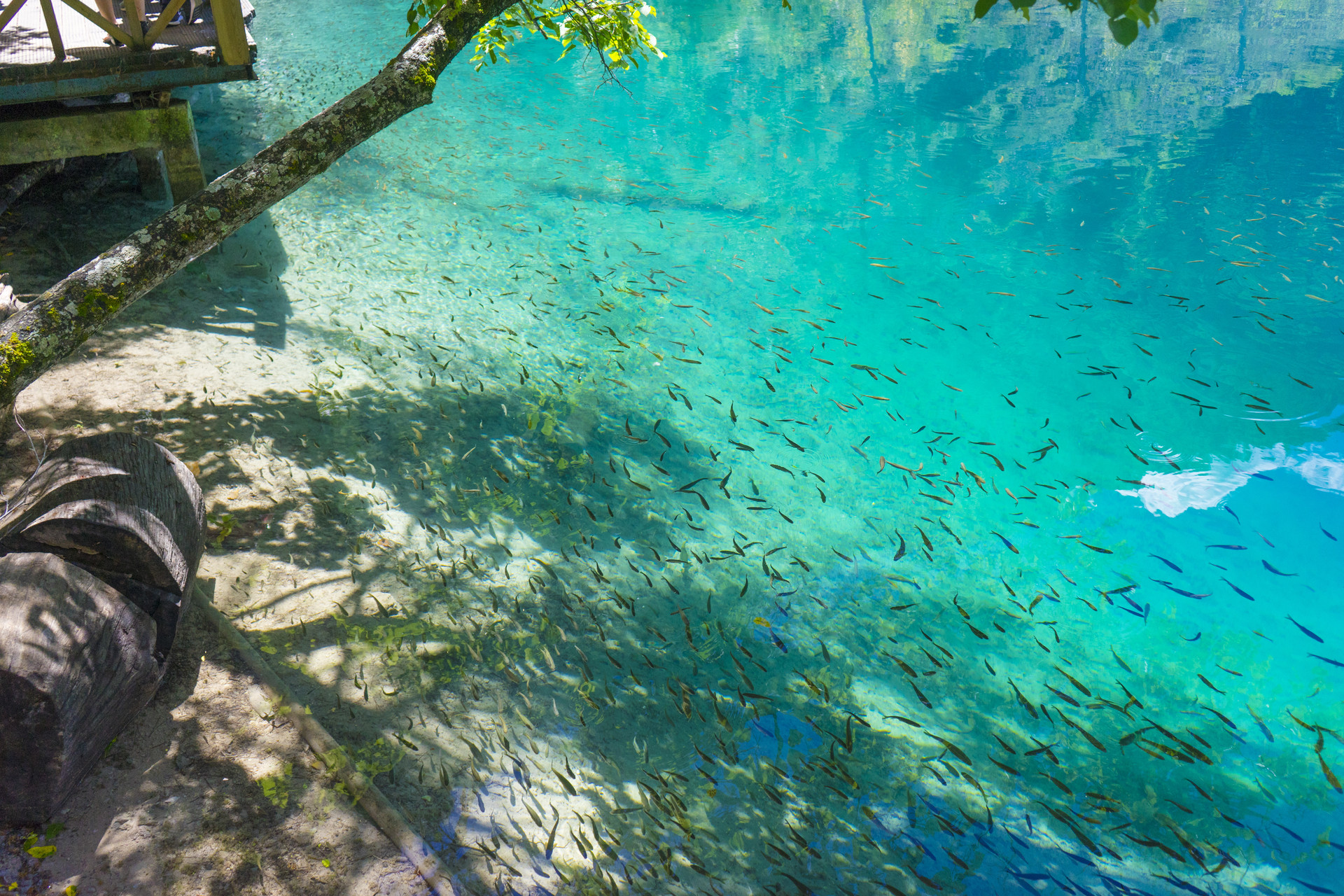 九寨溝五彩池圖1封面圖