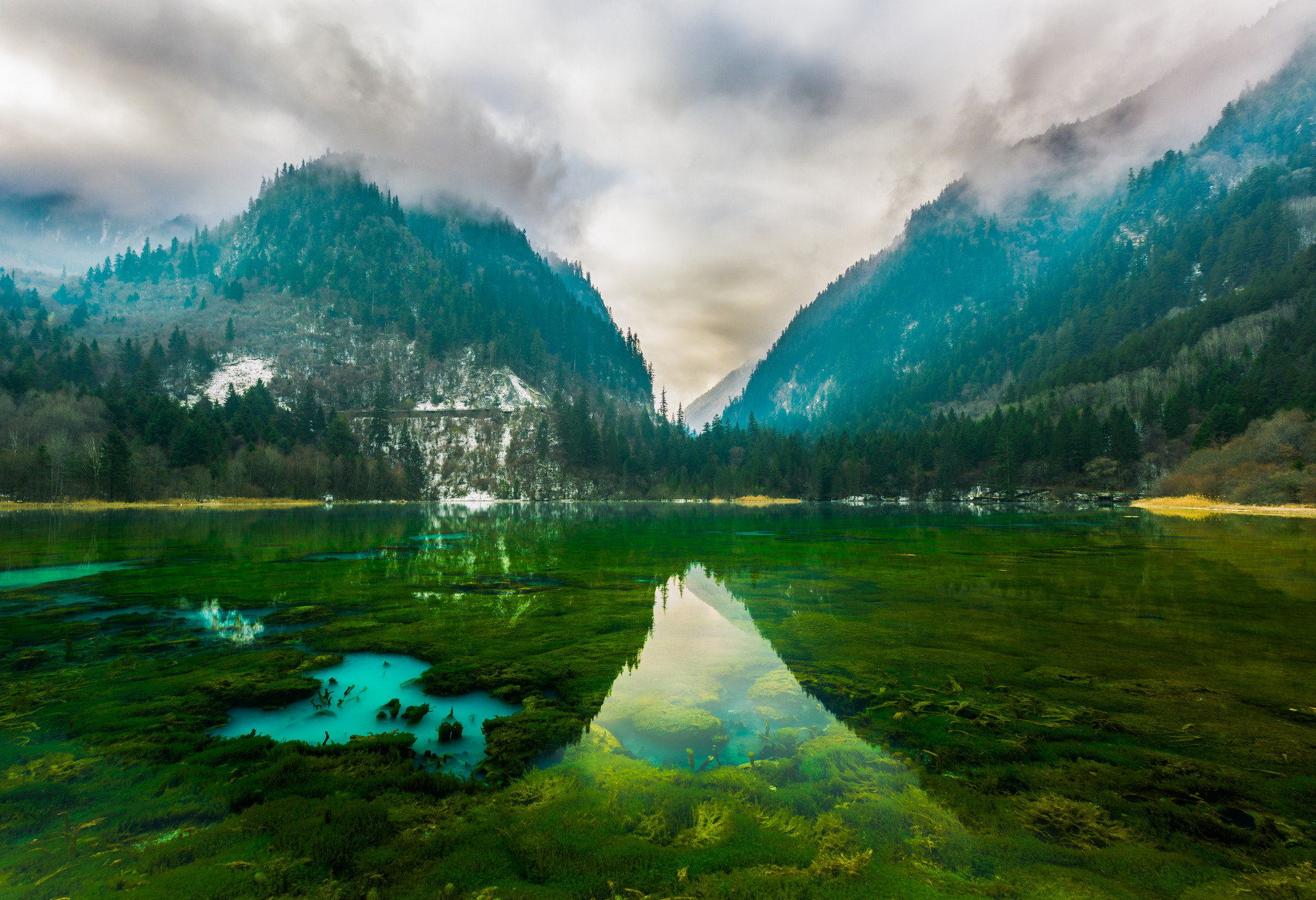 九寨溝孔雀海倒影封面圖