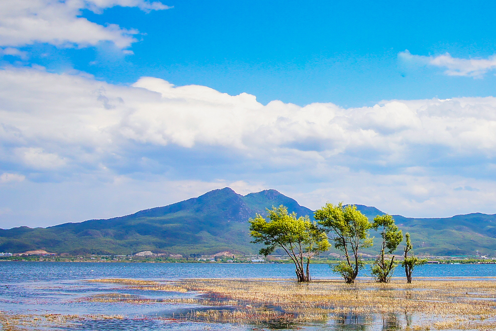 景點(diǎn)封面圖